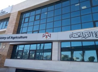 وزارة الزراعة: أسعار الأضاحي ضمن المعدلات الطبيعية
