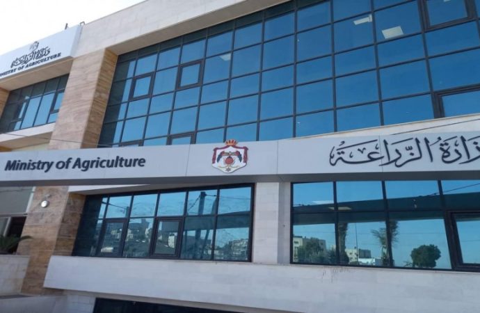 وزارة الزراعة: أسعار الأضاحي ضمن المعدلات الطبيعية