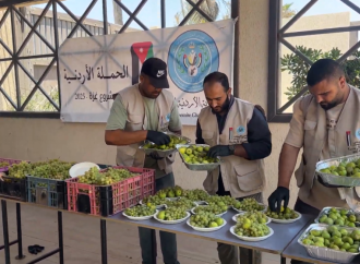 “الخيرية الهاشمية” توزع الفواكه على مرضى الكلى بمستشفى شهداء الأقصى في دير البلح