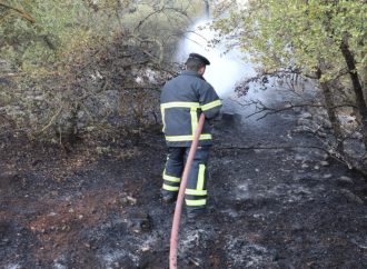 المناصير : حريق الغابات في جرش “مفتعل” والنيران اشتعلت بـ3 مواقع في ذات الوقت