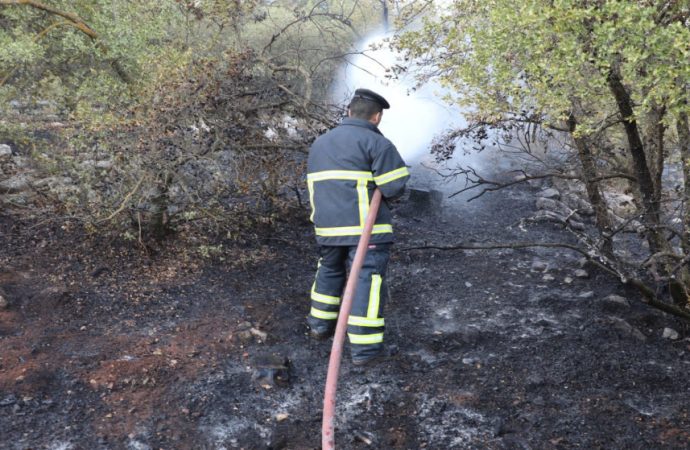 المناصير : حريق الغابات في جرش “مفتعل” والنيران اشتعلت بـ3 مواقع في ذات الوقت