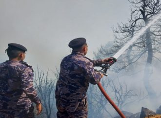 الدفاع المدني يخمد حريقا أتى على نحو 30 دونما من الأعشاب في إربد