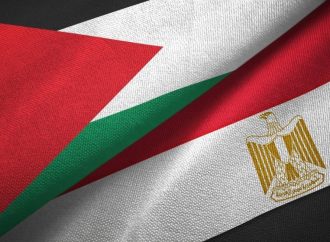 وزير خارجية مصر: تنسيق مصري أردني لعقد مؤتمر دولي لإغاثة غزة وإعادة إعمارها