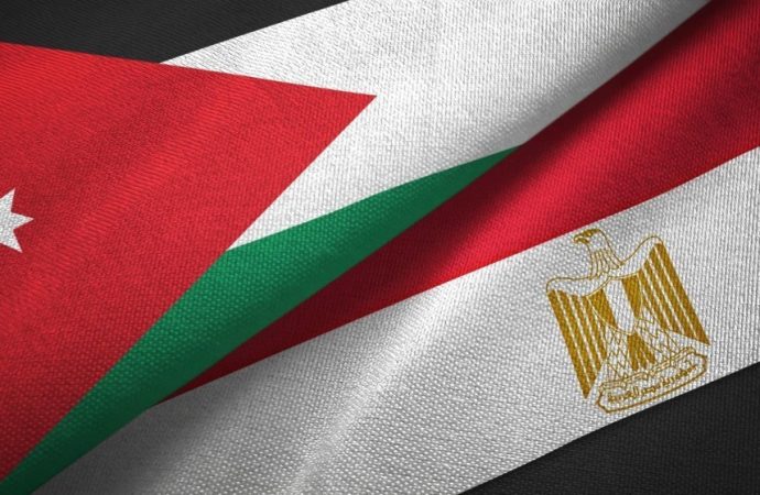 وزير خارجية مصر: تنسيق مصري أردني لعقد مؤتمر دولي لإغاثة غزة وإعادة إعمارها