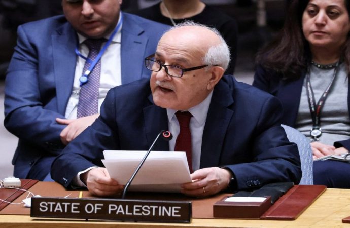 المندوب الفلسطيني لدى الأمم المتحدة: إسرائيل تقتل فلسطين في غزة