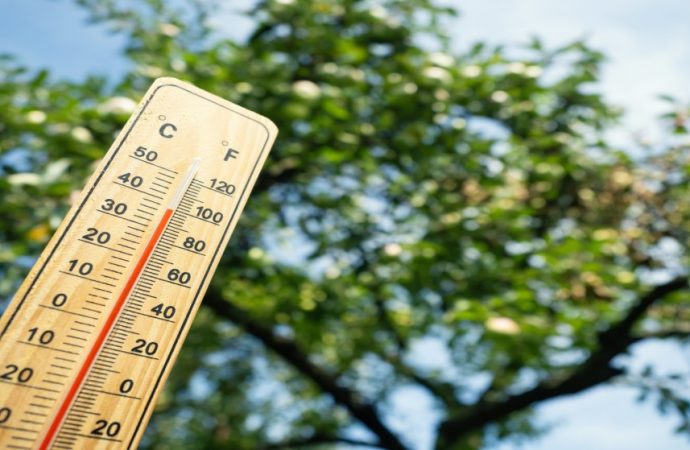 الأرصاد الجوية: الأردن شهد موجات حارة أقوى وأطول مدة من الموجة الحالية