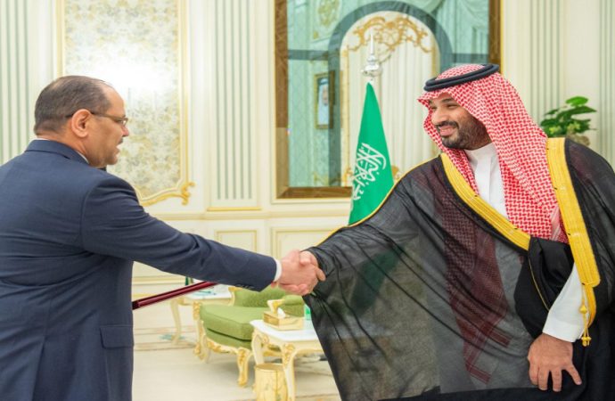 السفير أبو الفول يقدم أوراق اعتماده لولي العهد السعودي نيابة عن خادم الحرمين