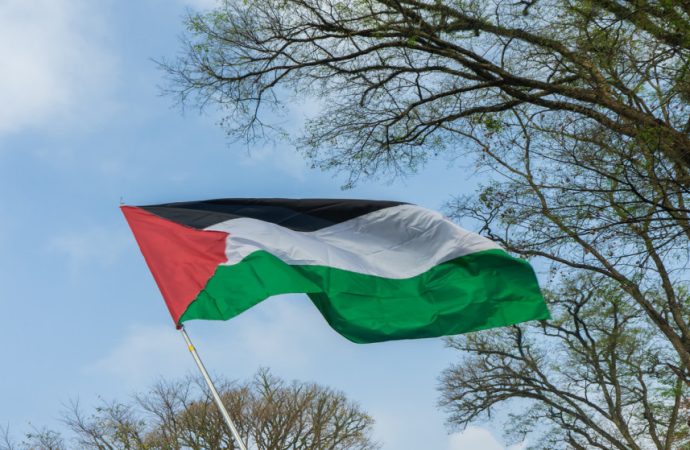 ردود فعل دولية عقب اعتراف بريطانيا وكندا وأستراليا والبرتغال بدولة فلسطين