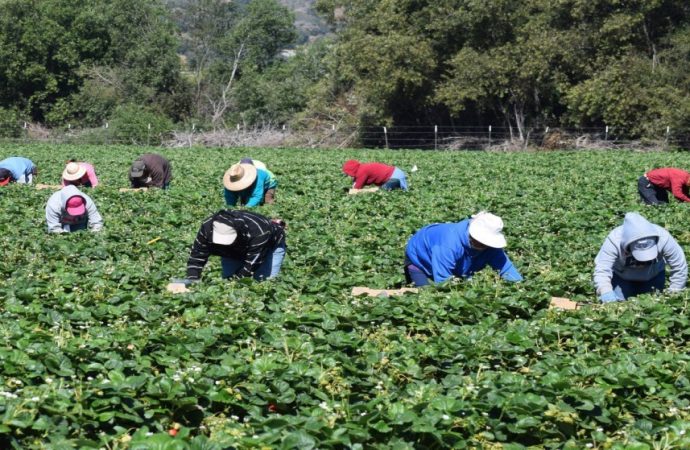 وزير الزراعة يوجه بحصر وتقييم أضرار المنخفض الجوي في المحافظات الجنوبية
