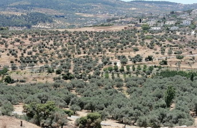 خريسات رفع الجاهزية القصوى داخل محافظة جرش استعدادا للمنخفض الجوي