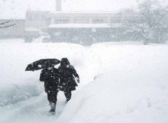الأردن يعرب عن تعازيه ومواساته لحكومة وشعب اليابان في ضحايا العاصفة الثلجية