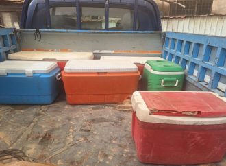 الغذاء والدواء: إتلاف 240 كغم من الدجاج المجمد مجهول المصدر