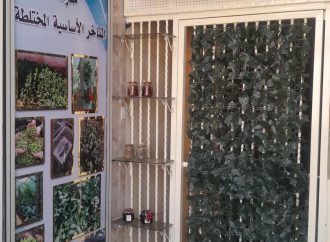 مدرسة المناخر الأساسية تطلق مشروعًا تطويريًا يعزز التنظيم وتحفيز الطالبات
