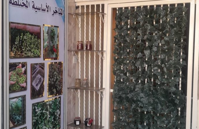 مدرسة المناخر الأساسية تطلق مشروعًا تطويريًا يعزز التنظيم وتحفيز الطالبات