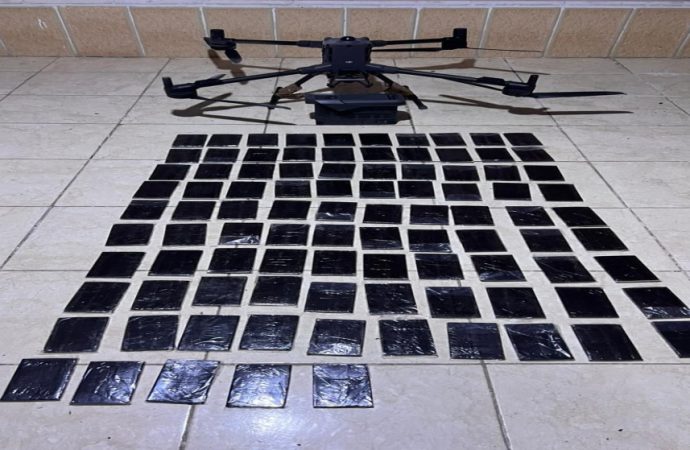 المنطقة العسكرية الجنوبية تحبط محاولة تهريب كمية من المواد المخدرة