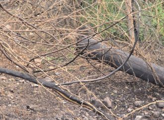 سقوط شظايا يتسبب بانقطاع الكهرباء عن عدة مناطق في الأغوار الشمالية
