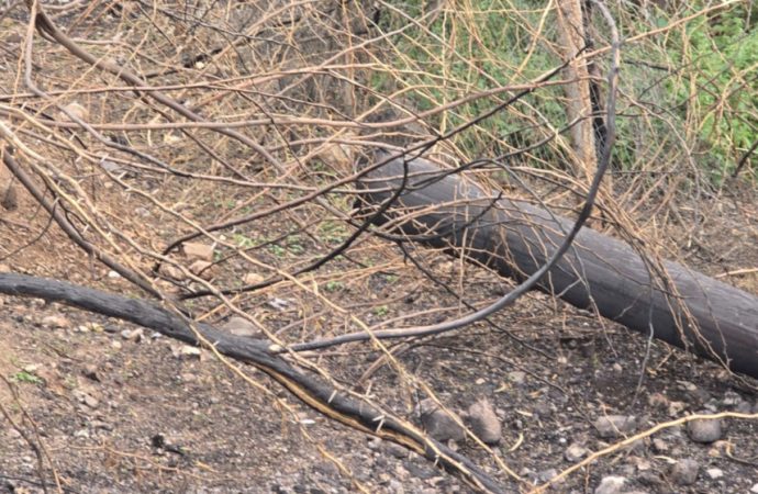 سقوط شظايا يتسبب بانقطاع الكهرباء عن عدة مناطق في الأغوار الشمالية