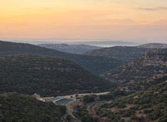 وزير الزراعة: حماية الأراضي الحرجية أولوية وطنية ورفع الجاهزية خلال الصيف