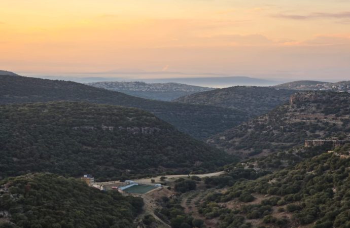 وزير الزراعة: حماية الأراضي الحرجية أولوية وطنية ورفع الجاهزية خلال الصيف