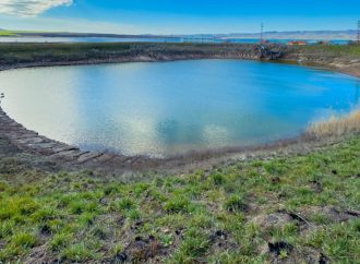 وفاة شقيقين غرقا في بركة زراعية بالكرك