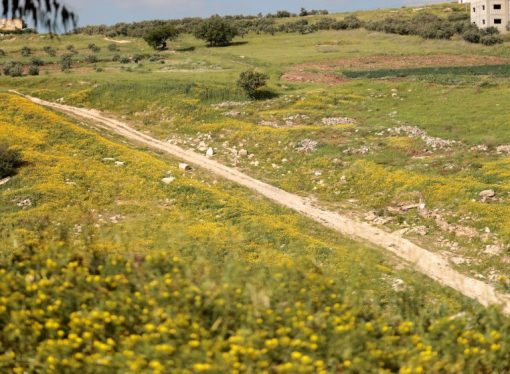 أجواء باردة نسبيا حتى الأحد وربيعية دافئة بدءا من الاثنين