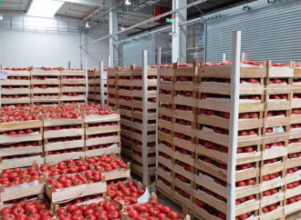 وزارة الزراعة تسمح برفع كمية البندورة المسموح بتصديرها