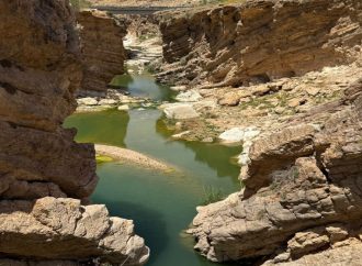 وزارة المياه تدرس إقامة مشاريع حصاد مائي في وادي الوالة ووادي الهيدان