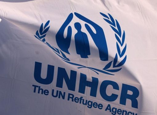 مفوضية الأمم المتحدة لشؤون اللاجئين تسرح المزيد من الموظفين