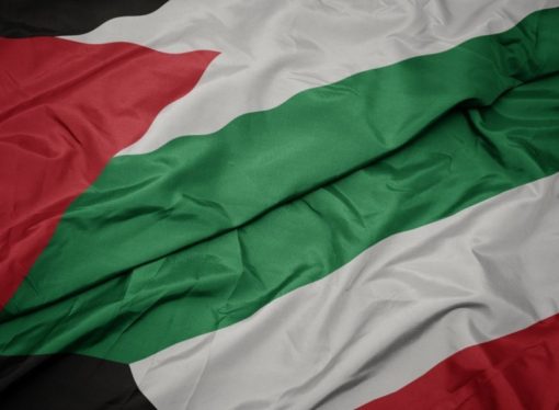 الصفدي ونظيره الكويتي يبحثان جهود إنهاء التصعيد وتعزيز الاستقرار الإقليمي