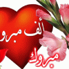 تهنئه للعريس الغالي مصطفى محمد أبو شريعة .