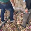 المياه : ضبط  ١١ اعتداء جديدة في الشونة الجنوبية تزود شاليهات ومزارع وتعبئة خزانات كبيرة