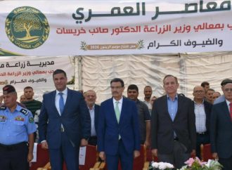 وزير الزراعة: الزيتون ركيزة أساسية لدعم الاقتصاد الوطني وتعزيز الأمن الغذائي