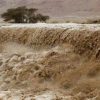 “الزراعة” تدعو المزارعين المتضررين من الأحوال الجوية لمراجعة المديريات