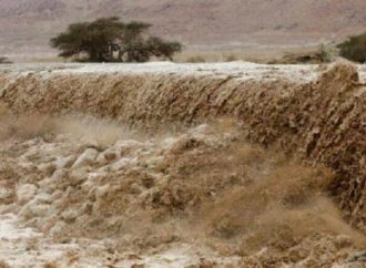 “الزراعة” تدعو المزارعين المتضررين من الأحوال الجوية لمراجعة المديريات