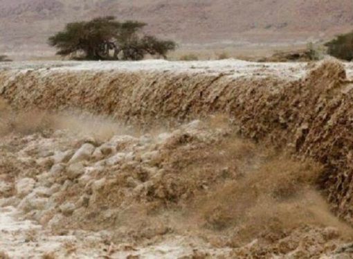 “الزراعة” تدعو المزارعين المتضررين من الأحوال الجوية لمراجعة المديريات