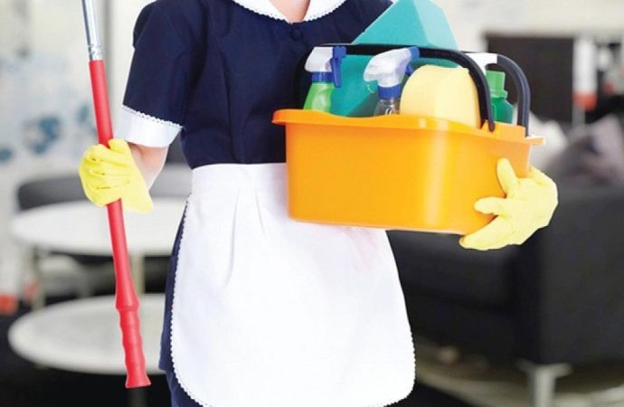 الحكومة تقر نظام ترخيص شركات تزويد المنازل بعاملات التنظيف
