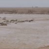 الأرصاد تحذر من أمطار غزيرة في جنوب وشرق المملكة